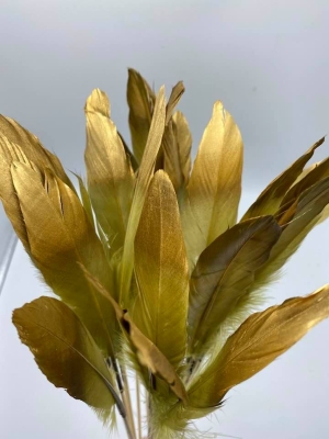 Gold tipped feathers on sticks