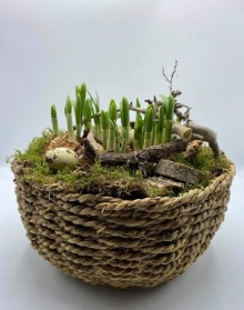 Easter basket   planter